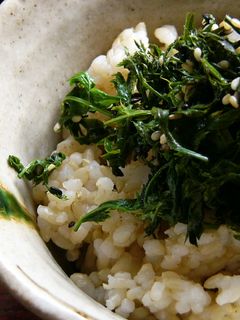 にんじんの葉っぱふりかけ-レシピのメイン写真
