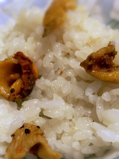 冷凍したホヤの塩辛から作るホヤご飯-レシピのメイン写真