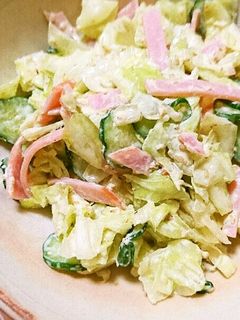 キャベツのごまマヨわさびサラダ-レシピのメイン写真