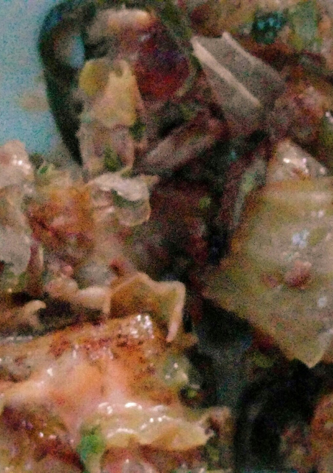 もちでお好み焼き風-レシピのメイン写真