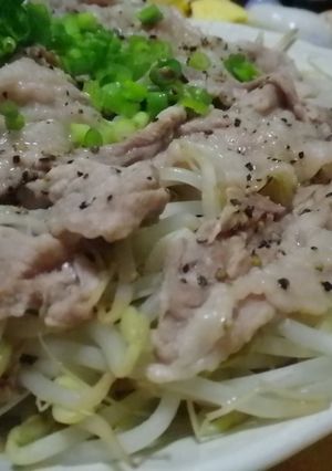 ばあばの味★豚肉ともやしがいっぱい -レシピのメイン写真