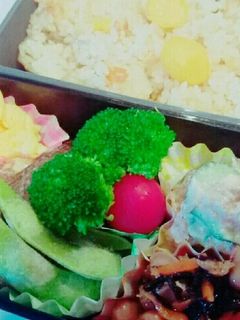 むぅ運動会練習のお弁当8/25-レシピのメイン写真