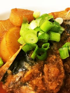 鯖のみぞれ煮-レシピのメイン写真