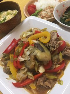 夏!☆サッパリ肉野菜炒め☆-レシピのメイン写真