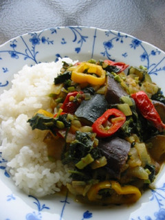 夏は元気にお野菜たっぷりカレー^^-レシピのメイン写真