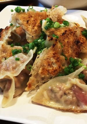 夏野菜で三角ギョーザ-レシピのメイン写真