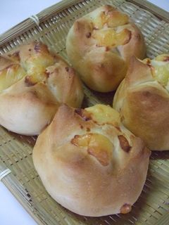 大人気!ほわほわ♡ チーズパン-レシピのメイン写真