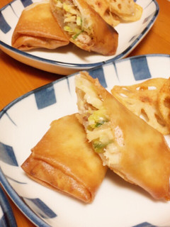 この味が一番☆我が家の本格春巻き-レシピのメイン写真
