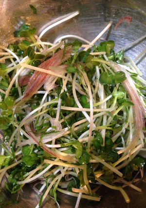 万能薬味-レシピのメイン写真