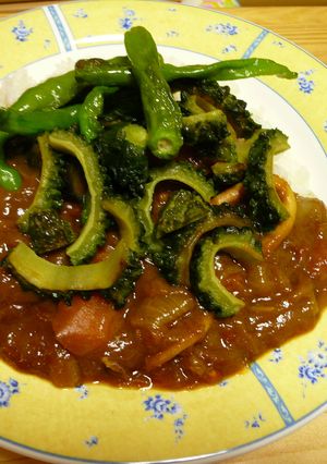 ゴーヤで野菜たっぷり夏野菜カレー☆-レシピのメイン写真