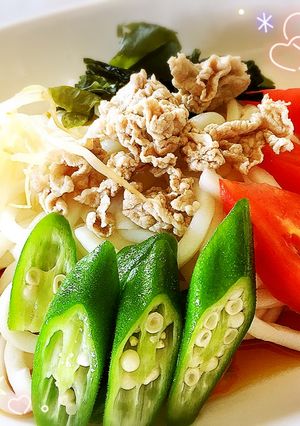 簡単さっぱり冷やしうどん☆-レシピのメイン写真