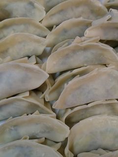 大葉ギョウザ(野菜オンリー餃子でも可)-レシピのメイン写真