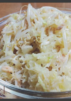 切り物無し！無限もやしキャベツ-レシピのメイン写真