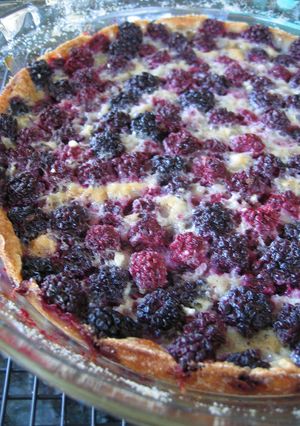 BlackberryCustardPie-レシピのメイン写真