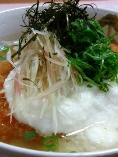ひんやり雑炊風~豚かつ冷やしダシ茶漬け~-レシピのメイン写真