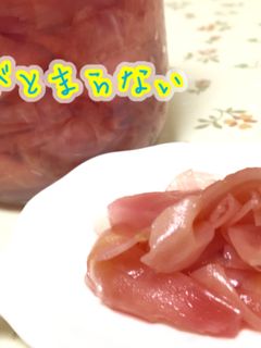 新生姜の甘酢漬け happy pink♡-レシピのメイン写真