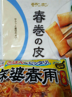 簡単 春巻!-レシピのメイン写真