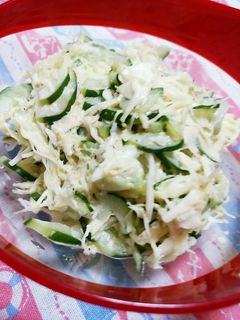キャベツときゅうりのサラダ-レシピのメイン写真