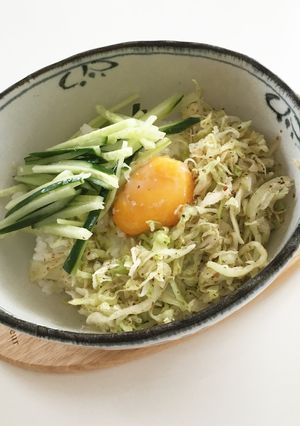 残り物野菜で夏休み最後のランチ丼！-レシピのメイン写真