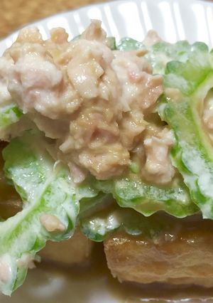 厚揚げ☆ゴーヤ乗せ-レシピのメイン写真