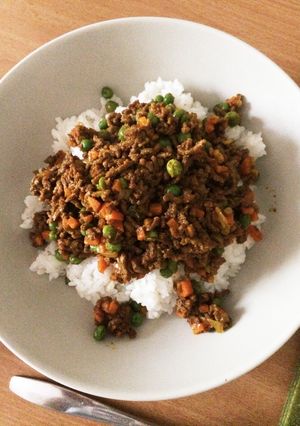 簡単☆ドライカレー-レシピのメイン写真