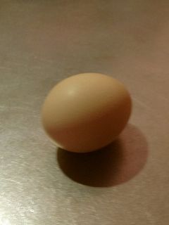 ゆでたまごのカラ♪ツルリンパッ♪-レシピのメイン写真
