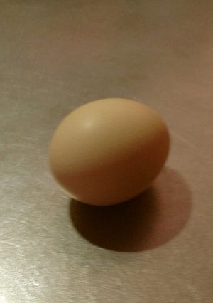 ゆでたまごのカラ♪ツルリンパッ♪-レシピのメイン写真