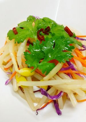 タイ風もやしサラダ-レシピのメイン写真