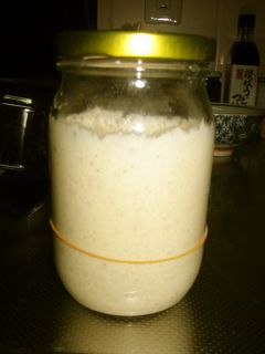 レーズン酵母-レシピのメイン写真