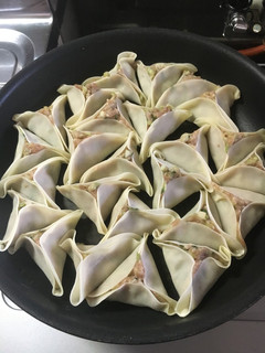 簡単‼︎ネギシソ餃子-レシピのメイン写真
