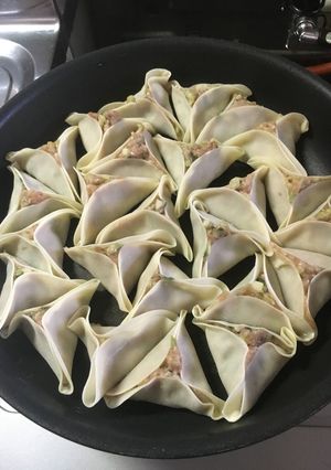 簡単‼︎ネギシソ餃子-レシピのメイン写真