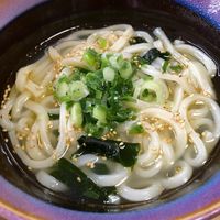 基本からアレンジまで！思わずつくりたくなる「鶏肉 塩 うどん」の