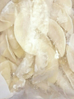 餃子の冷凍保存方法-レシピのメイン写真