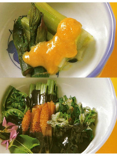 山菜のごまあえ-レシピのメイン写真