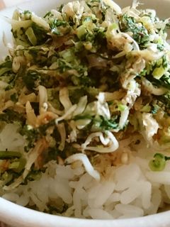 大根の葉でふりかけ-レシピのメイン写真