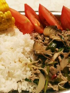 豚肉とパクチーのタイ風炒め-レシピのメイン写真