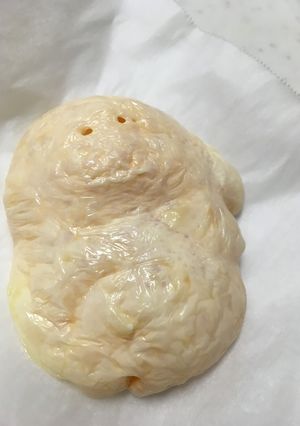 さっくさく チーズ お菓子？？-レシピのメイン写真