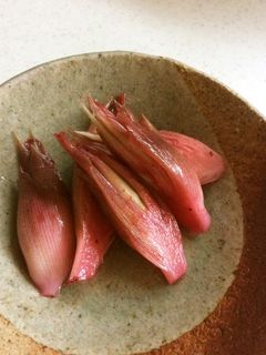 簡単!しそジュースでみょうが甘酢漬け-レシピのメイン写真