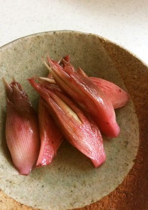 簡単！しそジュースでみょうが甘酢漬け-レシピのメイン写真