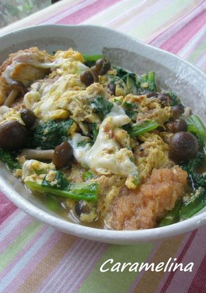 野菜た～っぷりのあっさりカツとじ煮-レシピのメイン写真