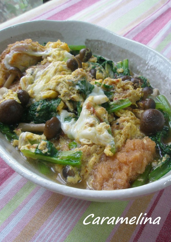 野菜た～っぷりのあっさりカツとじ煮-レシピのメイン写真