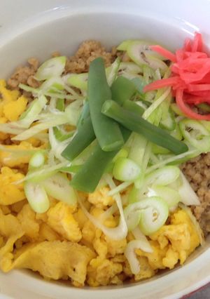 鶏そぼろ丼(三色丼)-レシピのメイン写真