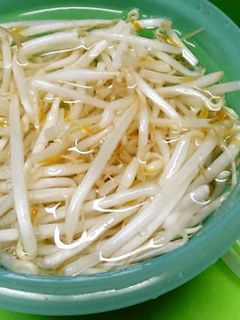 *もやしの保存*-レシピのメイン写真