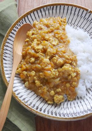 <旬の食材>トロロの和風カレー-レシピのメイン写真