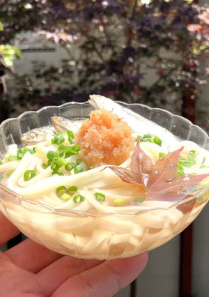 イロハモミジの抽出液で作る冷かけうどん-レシピのメイン写真