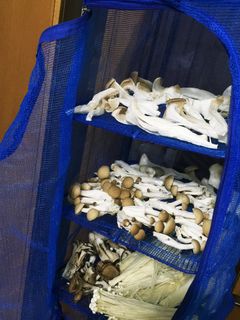 便利に使える◇干しきのこ-レシピのメイン写真