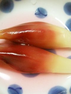 ミョウガの甘酢漬け-レシピのメイン写真