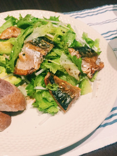 【簡単】焼き鯖サラダ-レシピのメイン写真