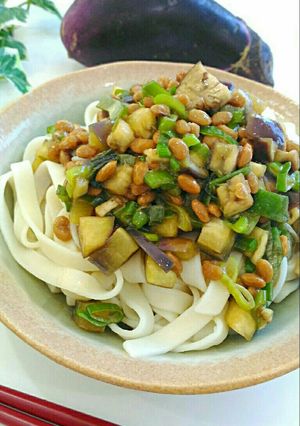 ナス＆納豆のスタミナ☆ツルッと冷たい麺-レシピのメイン写真