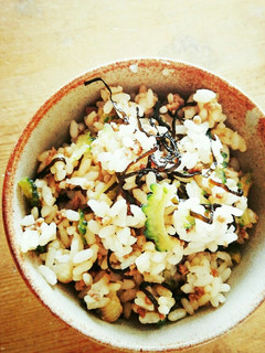 冷めてもおいしい!ゴーヤと塩こんぶの炒飯-レシピのメイン写真